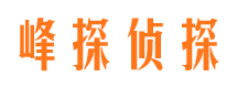 涟源市私家侦探